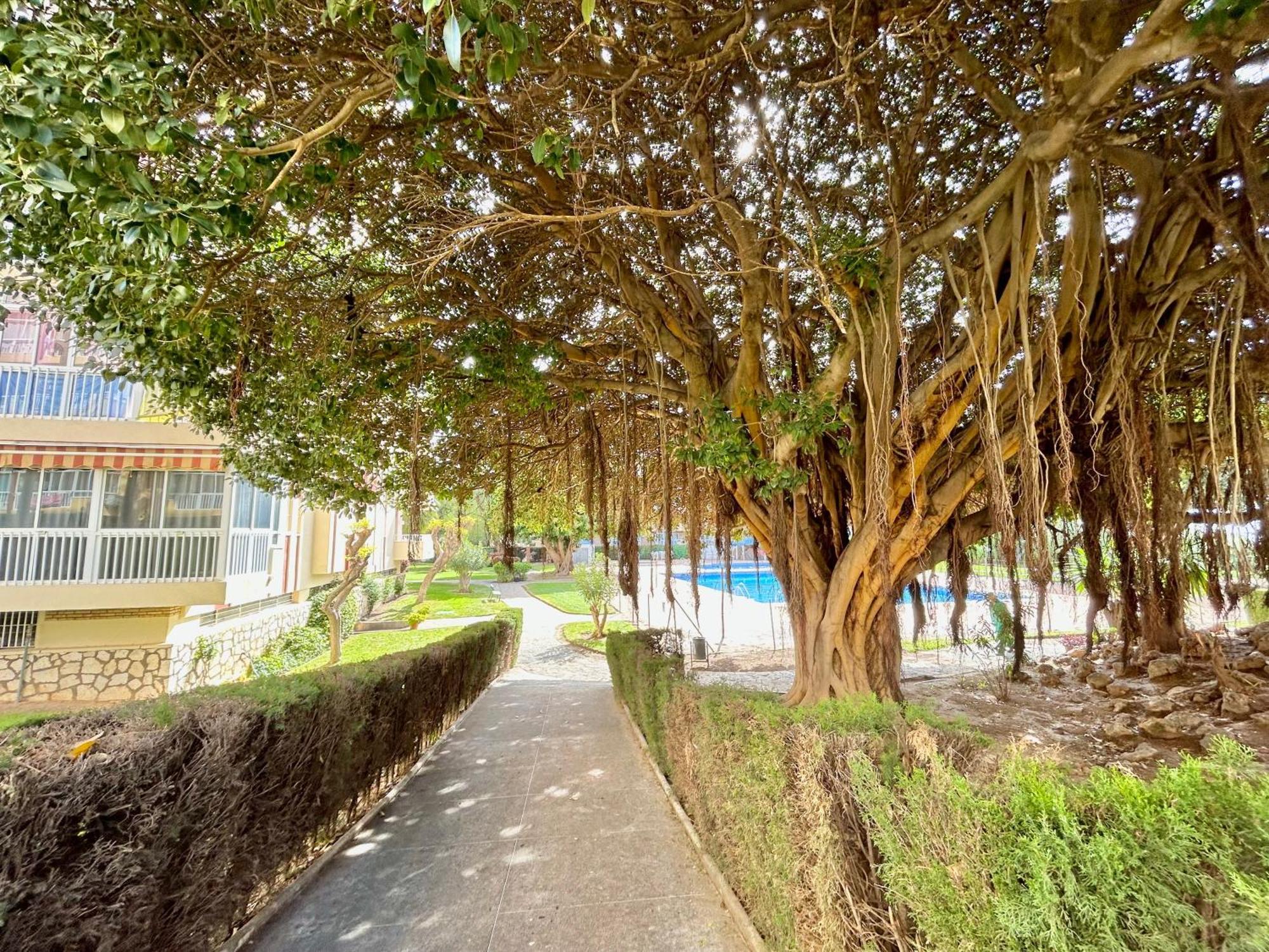 Hoja De Palma Apartman Benalmádena Kültér fotó